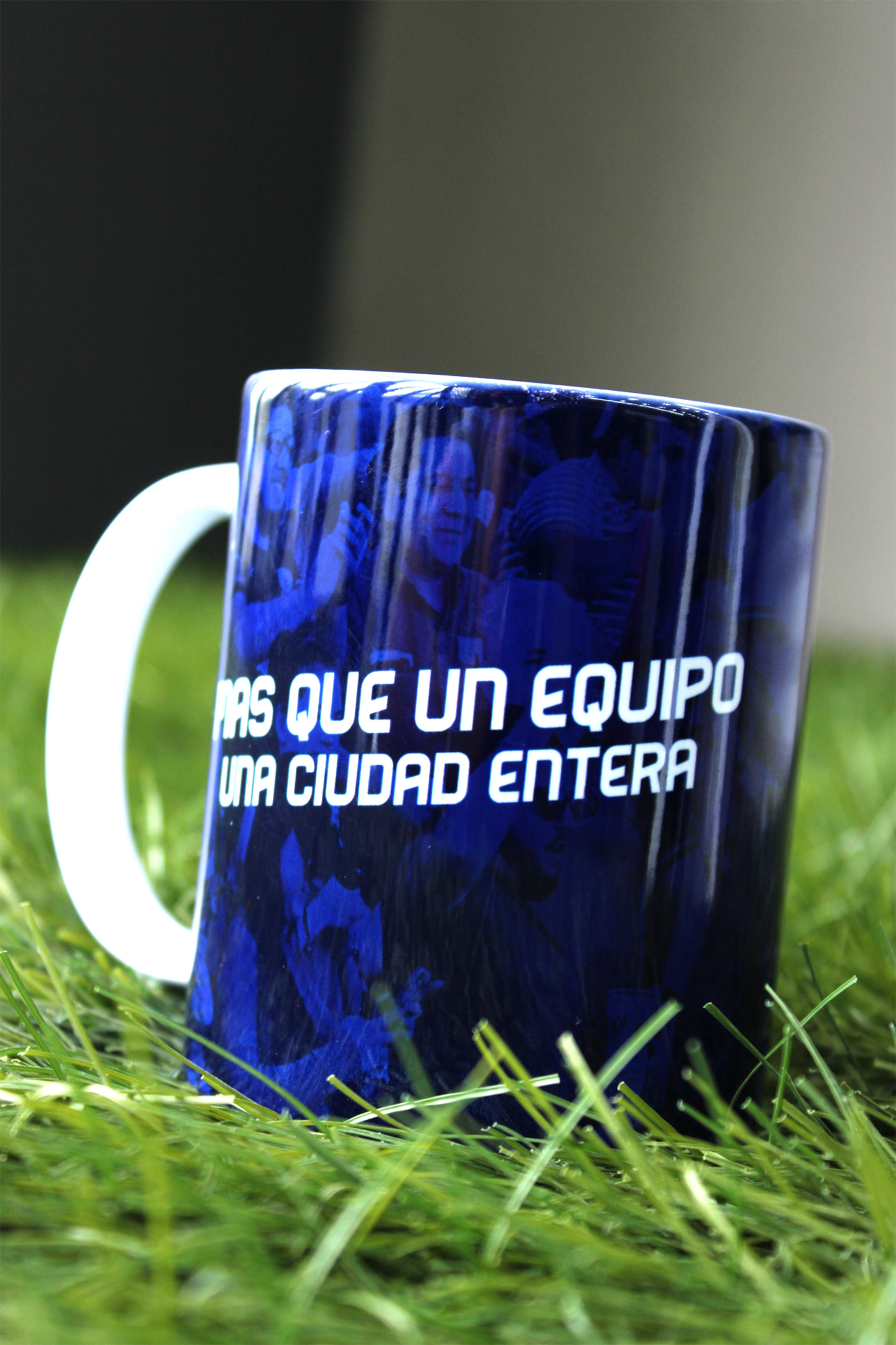 TAZA GAVILANES