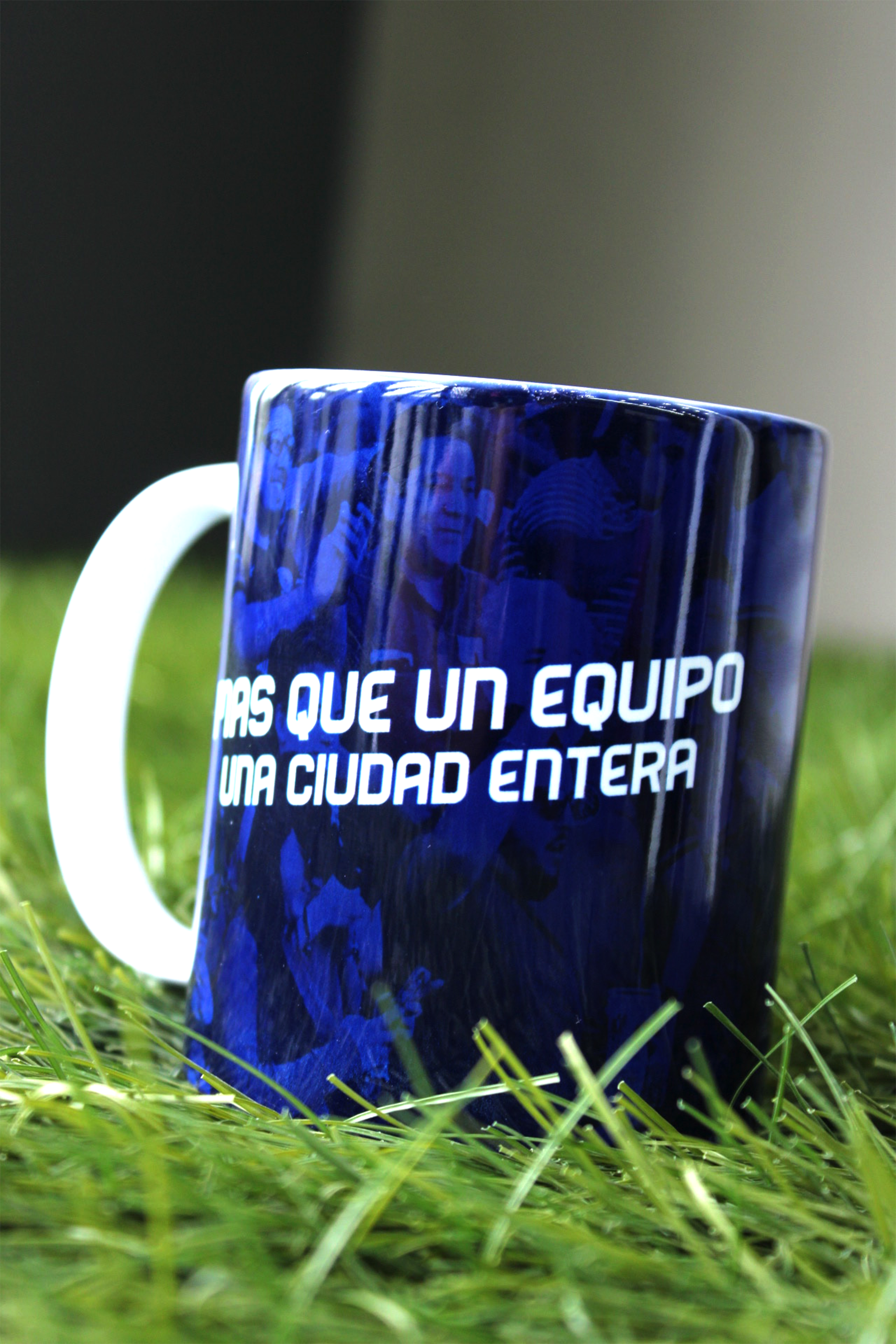 TAZA GAVILANES