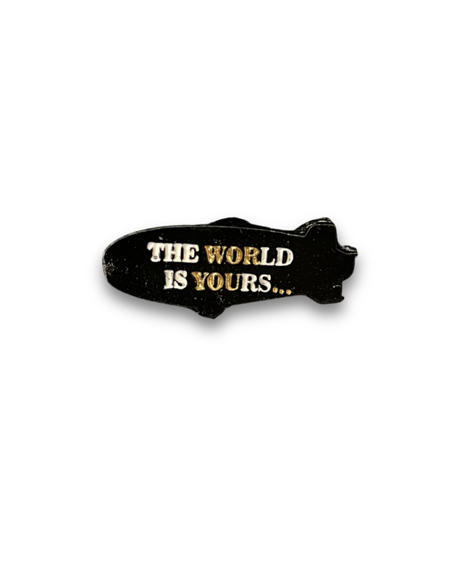 PIN THE WORLD IS YOURS...