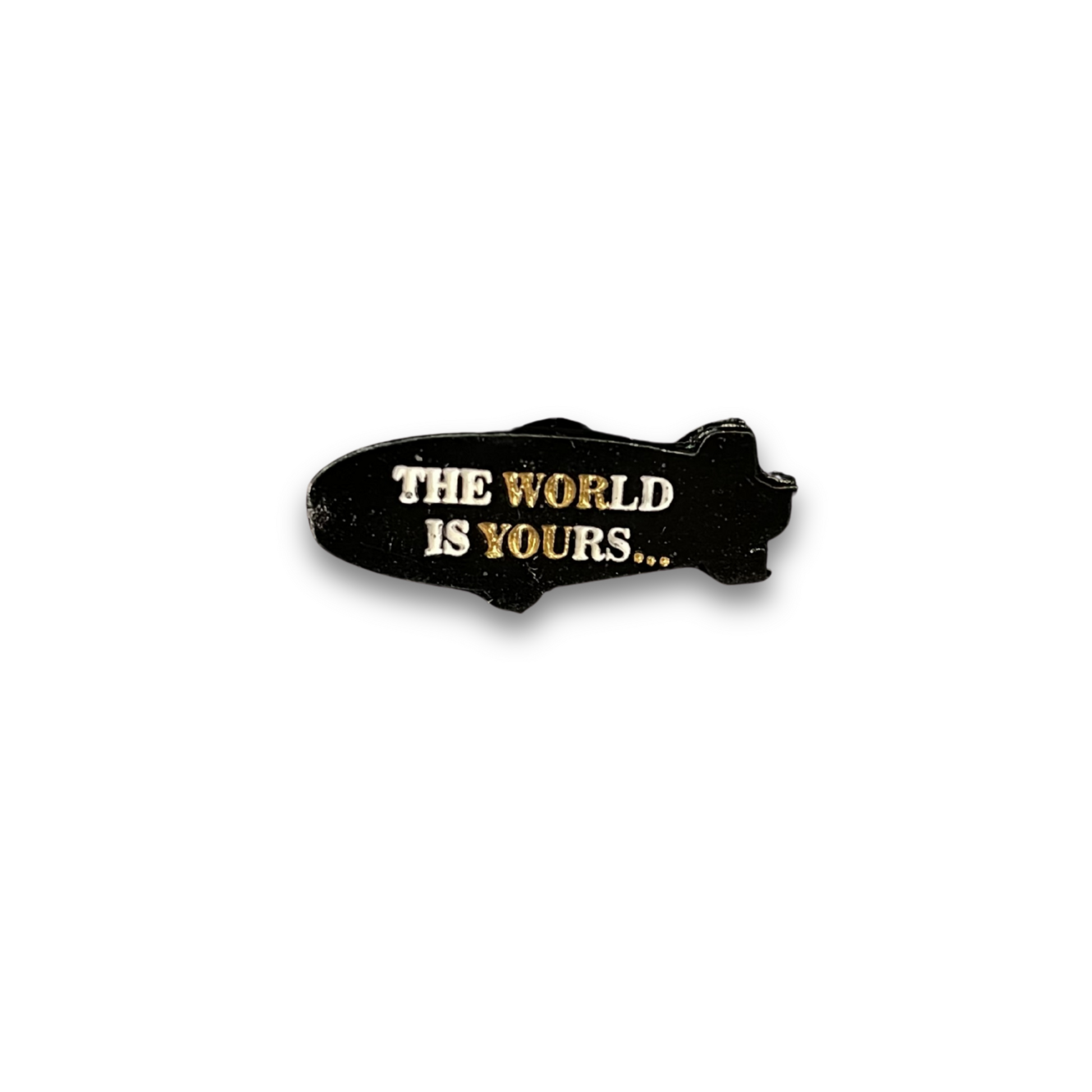 PIN THE WORLD IS YOURS...