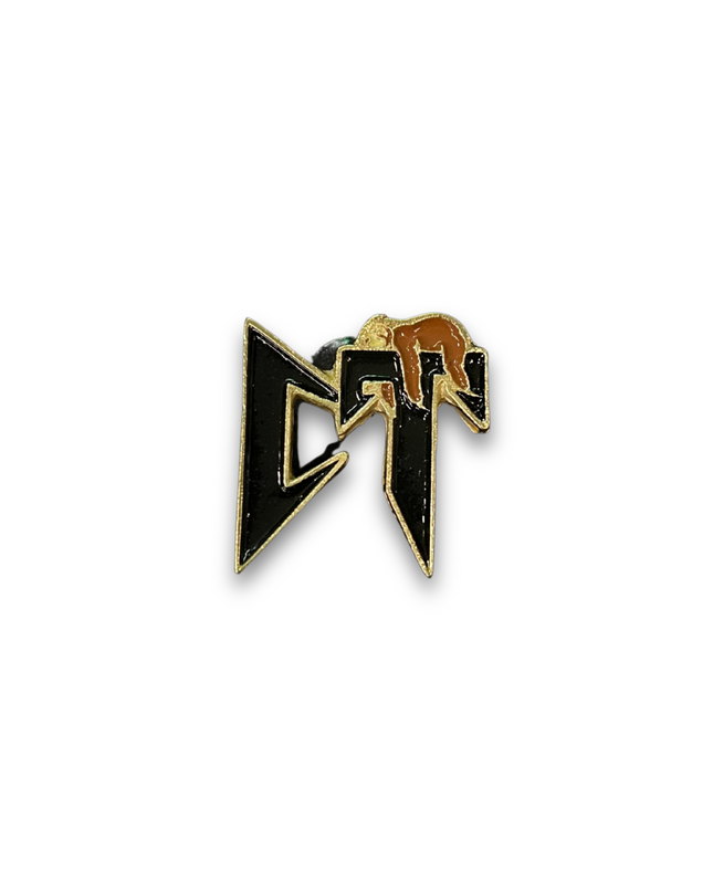 PIN CT NEGRO/DORADO