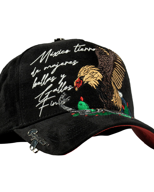 MÉXICO ROOSTER LYRICS
