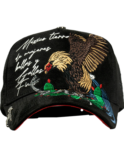 MÉXICO ROOSTER LYRICS