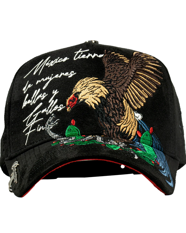 MÉXICO ROOSTER LYRICS