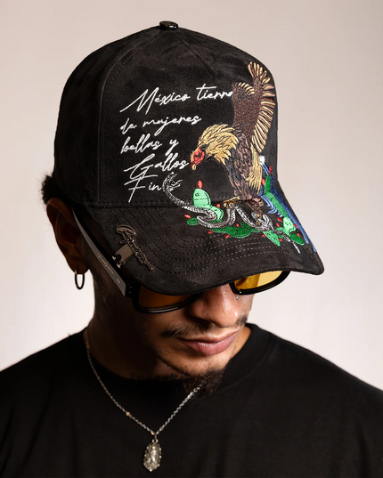 MÉXICO ROOSTER LYRICS